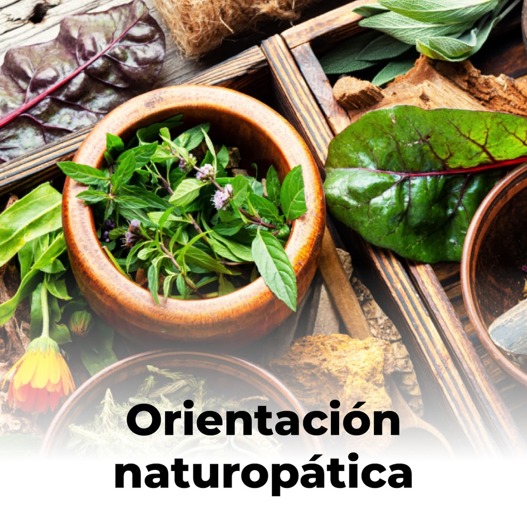 Orientación naturopática