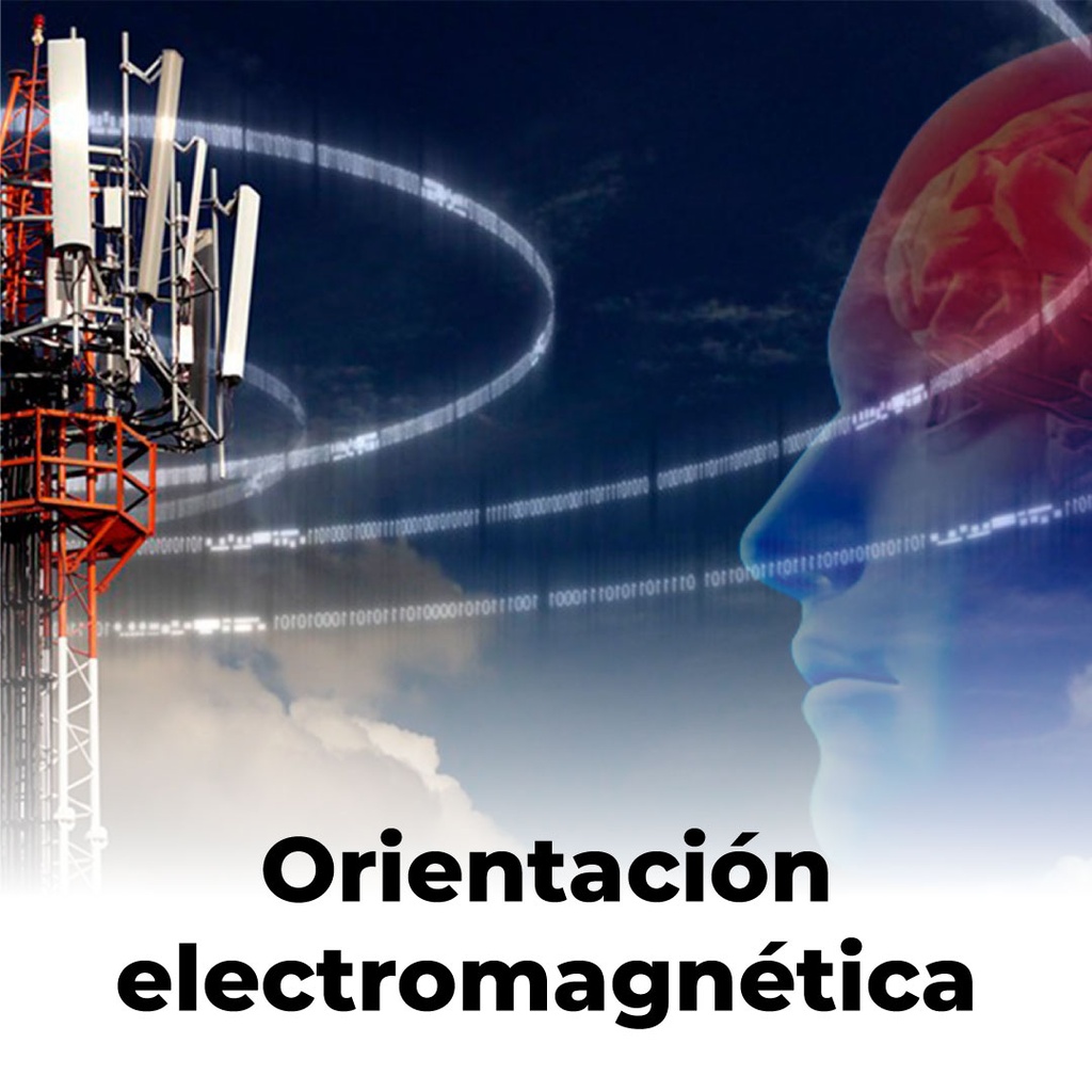 Orientación electromagnética