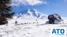 Nieve en Corralco (copiar)